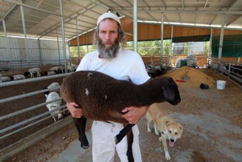 מכון המקדש רושם אנשים להקרבת קרבן פסח השנה