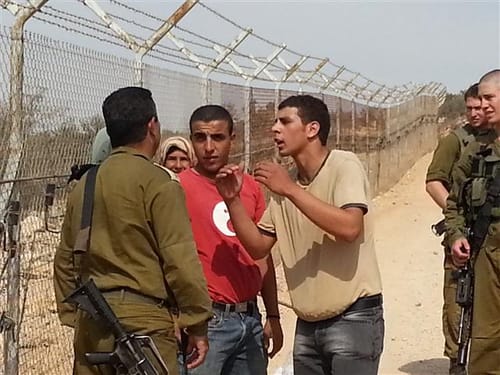 זעם באיתמר: פלסטינים מוסקים זיתים ליד בית פוגל