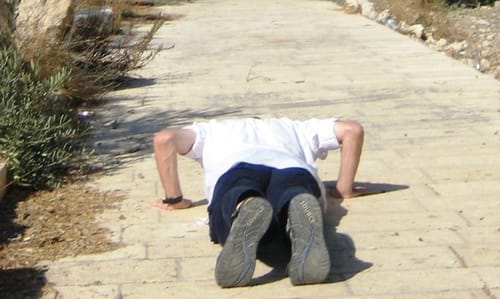 ארגוני המקדש: תומכים בהעמדת פייגלין לדין