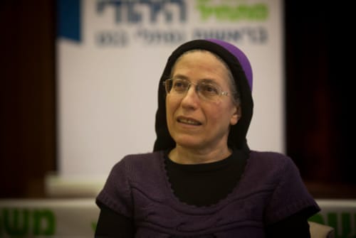 סטרוק על הקמפיין נגדה: הליכוד שיתפו איתי פעולה