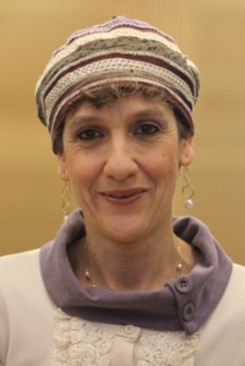 ח"כ שולי מועלם: "לאפשר בחירות בלי טריקים ובלי שטיקים"