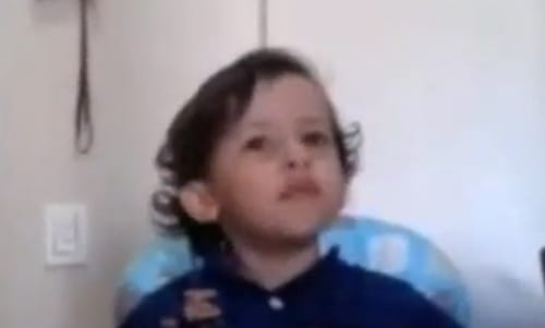 וידאו מדהים: הילד הצמחוני שמשגע את העולם