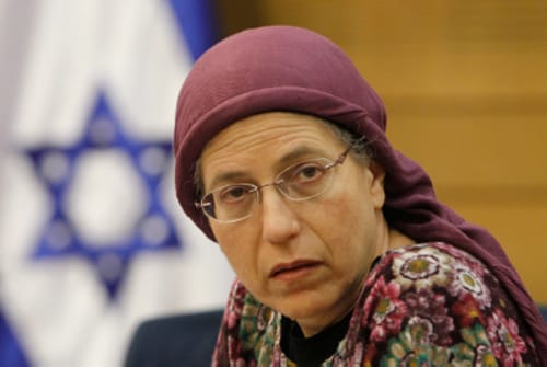 סטרוק: "הבית היהודי זה לא בנט ו-11 הגמדים"