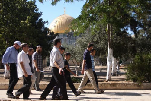 צפו: מאות עלו השבוע להר הבית והתפללו לשלום העולם; המוסלמים זועמים