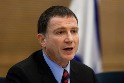 אדלשטיין: לא נציב עץ אשוח במשכן הכנסת