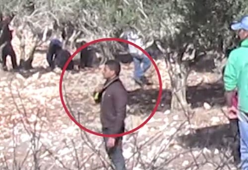 בחסות המסיק: ערבים מסמנים שחיטה; "יהיה כאן רצח כמו של משפחת פוגל"