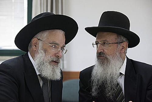 שנא את הרבנות