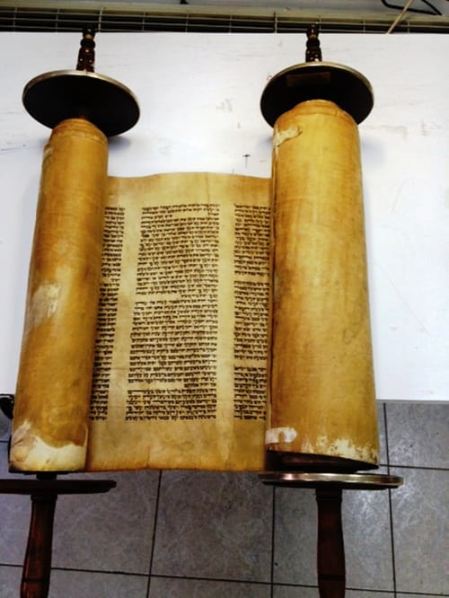 שרד את השואה אך לא את הגירוש