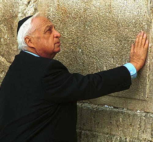 מקורב למשפחת שרון: "עמרי וגלעד מבינים שזה הסוף"