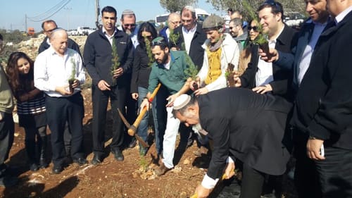 הבית היהודי בחגיגת נטיעות ביער שקד