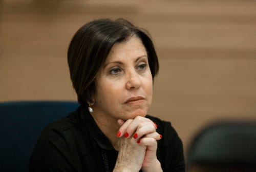 גלאון מפתיעה: אני מקווה שלא יעשה שימוש בצווי הגבלה כנגד מתנחלים