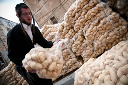 בגלל המחסור: לפיד אישר יבוא נוסף של 6,000 טון תפוחי אדמה