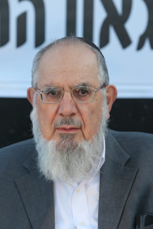 הרב רבינוביץ': הגיורים לא צריכים להיות בהסכמת הרבנות הראשית