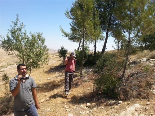 מנותקים: פעילי שמאל בפרובוקציה באביגיל
