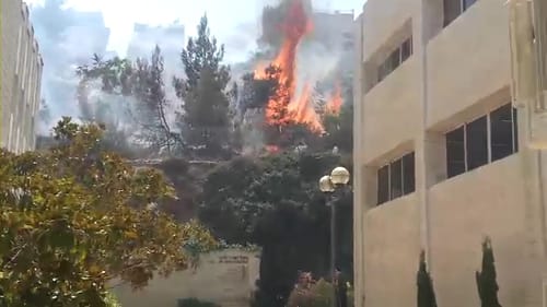 צפו: הלהבות שהשתוללו ליד 'מכון לב'