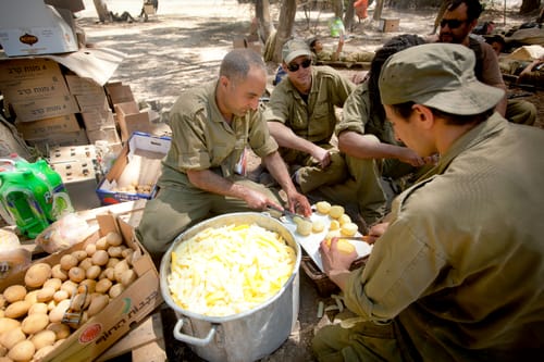 משרד הבטחון: צה"ל ישתמש בהיתר מכירה