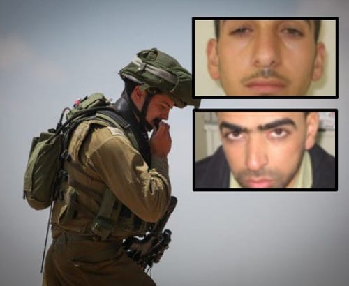 "גופות החוטפים תמורת גופות גולדין ושאול"