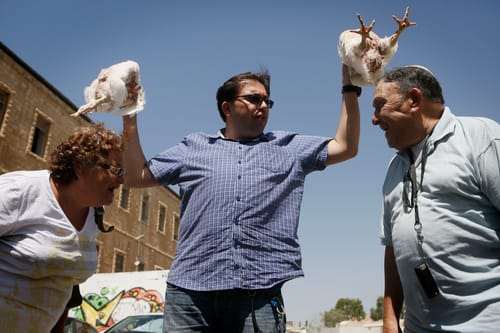 אל תלעיזו: אין צער בעלי חיים במנהג הכפרות