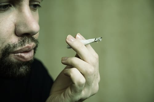 מה הדרכים המותרות לגדל קנאביס בשנת שמיטה?