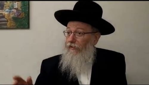 משבר ההתבגרות של יעקב ליצמן/ פרשנות