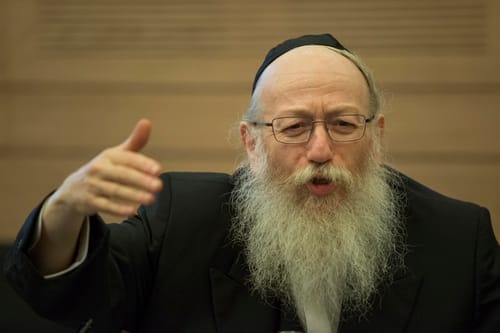 ליצמן: "הממשלה יכולה ללכת לערבים ולמר"צ"
