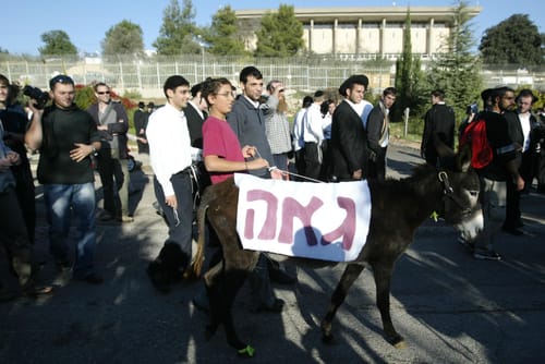 מתי נפסיק להתנצל על התנגדותנו ללהט"בים?