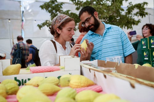 ארבעת המינים במוצאי השמיטה, על מה צריך להקפיד?