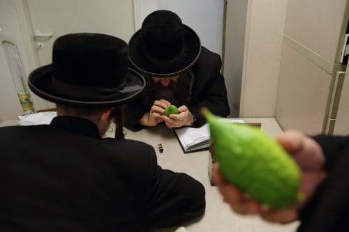 אתרוגי אוצר בית דין? "שערוריה ועושק הצבור"