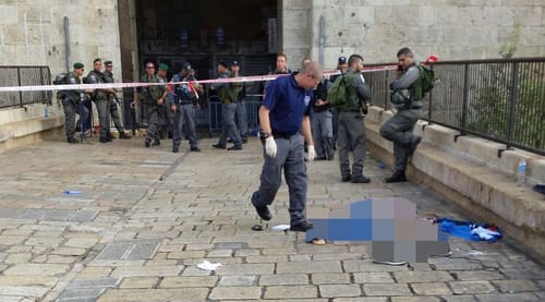 שבת של טרור: חמישה פצועים בשלושה פיגועים