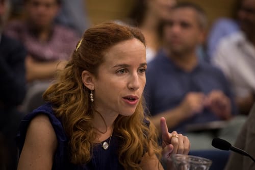 יש עתיד פוצצו את הדיון בועדה של סתיו שפיר