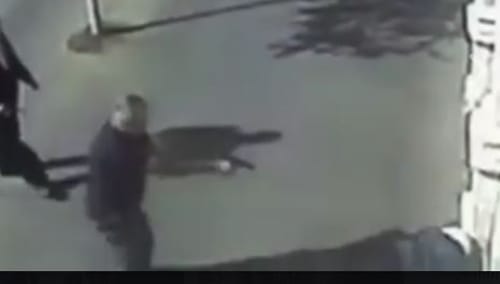 מועלם: "חקירת השוטר שירה במחבלת – איוולת"