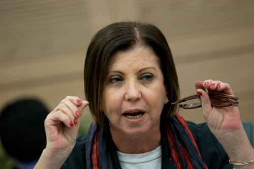 זהבה גלאון לא אהבה את השו"ת ב'עולם קטן'
