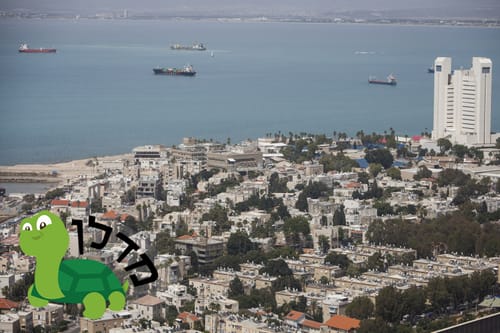 הכר את השכונה הסרוגה – נווה שאנן בחיפה