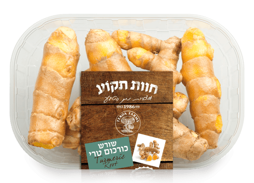 חדש: שורש כורכום טרי ובריא – בטעם עשיר שמשדרג כל תבשיל