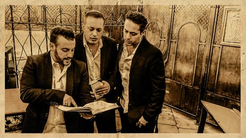 צפו: הפרויקט של רביבו מתחזקים