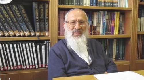 הרב אבינר נגד "בין הזמנים": ביטול תורה רבתי