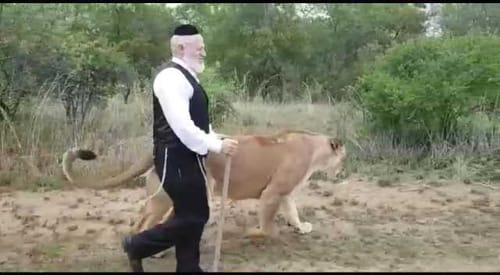 הרב ערוסי על הנס של משי-זהב: סיכון מיותר ואסור