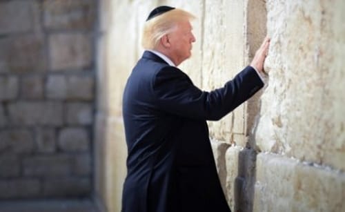 אולי יש בדונלד טראמפ ניצוץ של אביה?