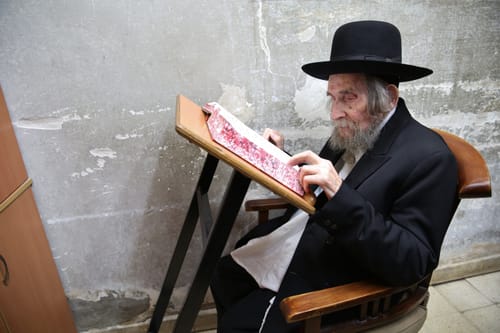 הרב אהרון שטיינמן זצ"ל – גאון אדיר ונורמלי