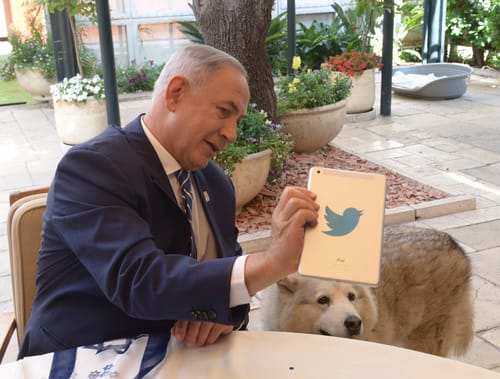 קאיה הכלבה של משפחת נתניהו, הלכה לעולמה