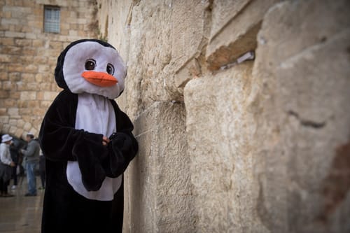 זמני הצום: תענית אסתר תשע"ח וההלכות