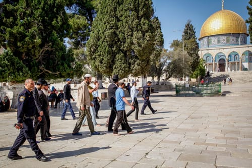 הסכסוכים הפנימיים של ארגוני הר הבית נחשפים