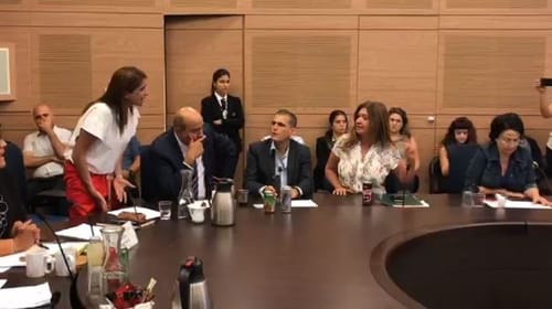 הדיון על עזה התקיים; בין ארי רתחה: "בושה לכנסת"