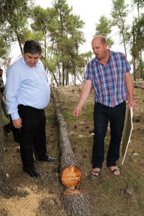 עמותת שחרית, הקרן החדשה לישראל וירון רוזנטל