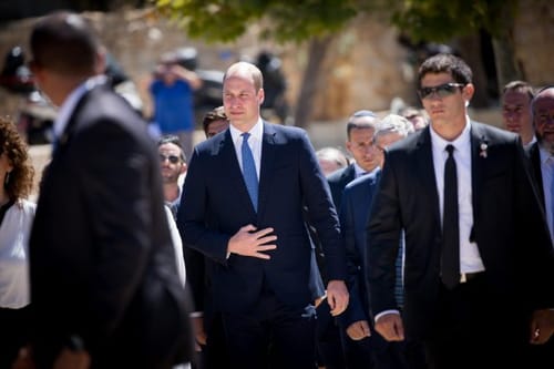 בבריטניה תוקפים את וויליאם: "סבתו לא הייתה עושה זאת"