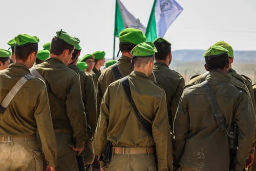 בקרוב על המדים: סיכות ותגים חדשים בצה"ל