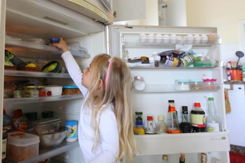 מקרר מהדרין וחג"ז: שאלות ותשובות הלכטכניות לרה"ש