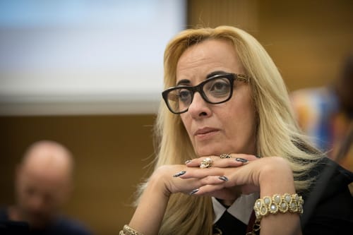 הפעילה 'המשעממת' הגיעה לכנסת: "מאיימים עלי"