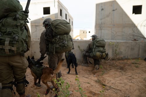 מחר: תרגיל נרחב של צה"ל בנגב ובערבה
