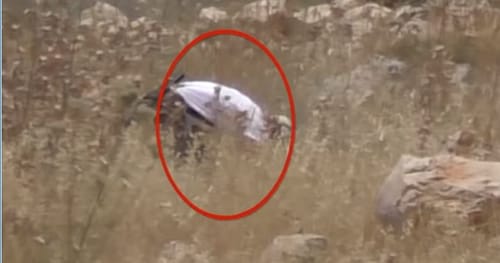 תיעוד: הפלסטינים מציתים, בצלם בהאשמה למתנחלים